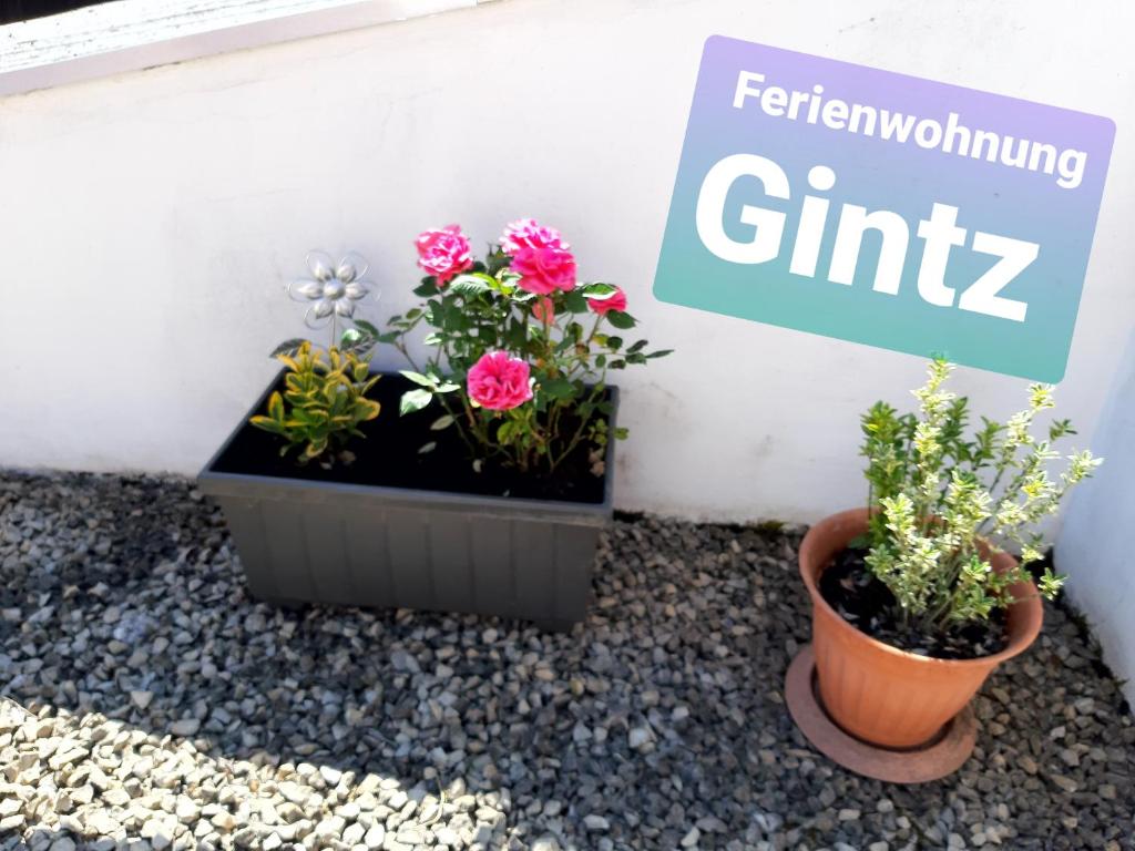 Ferienwohnung Haus Gintz - Mandelbachtal