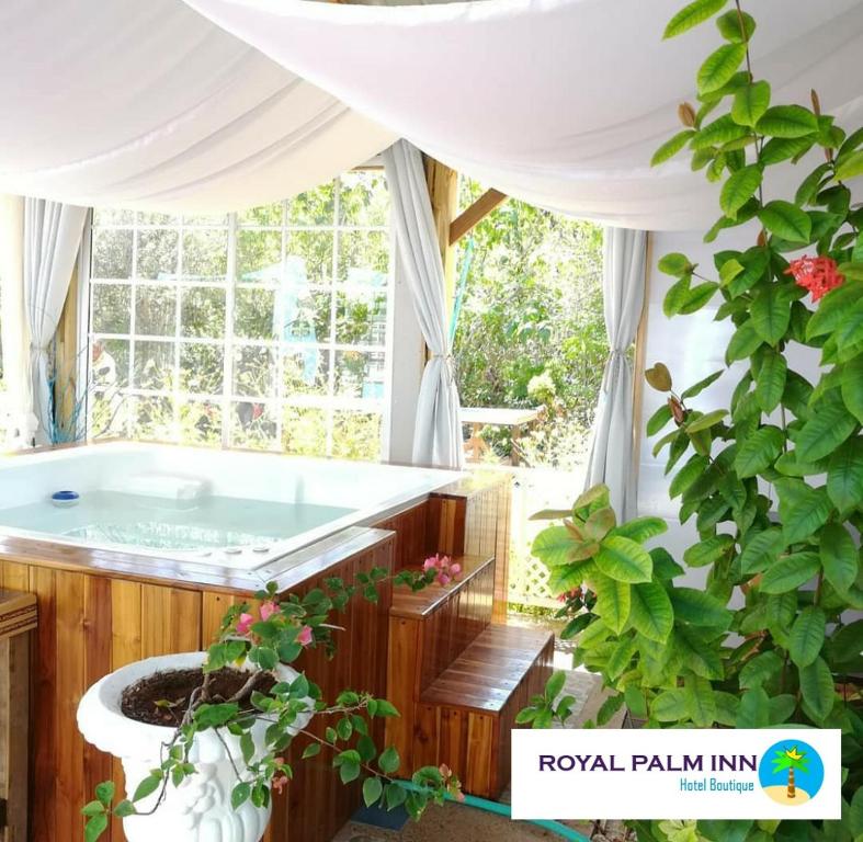 Casa Royal Palm Inn - Caribbean
