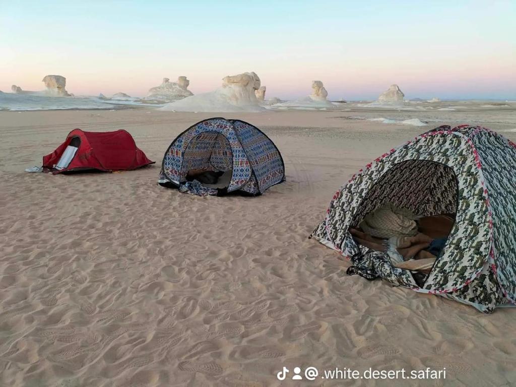 White Desert Egypt Safari - Égypte
