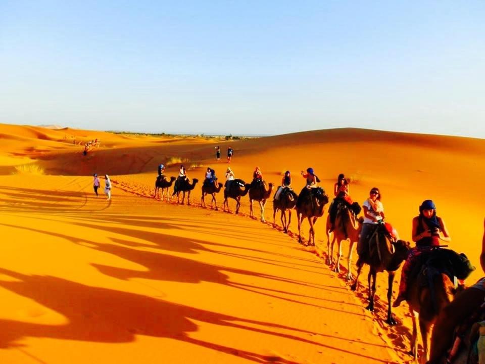 Moda Camp Merzouga - Camel Quad Sunboarding Atv - モロッコ
