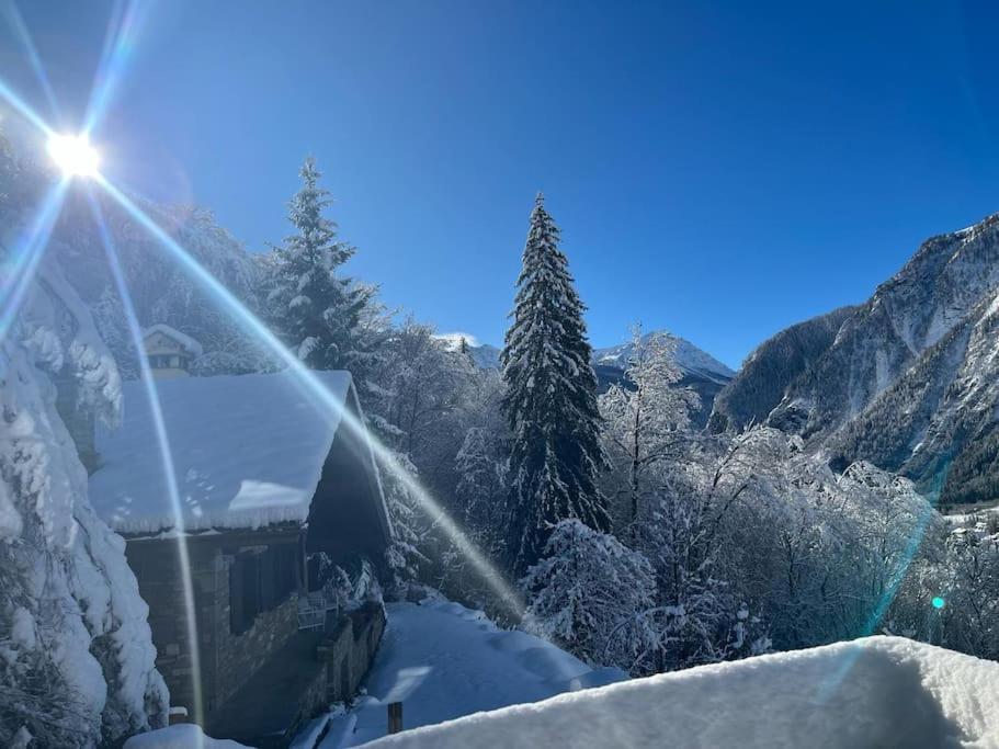 Relais Courmayeur - Fiore Di Bosco - Mont Blanc - Italia - Morgex