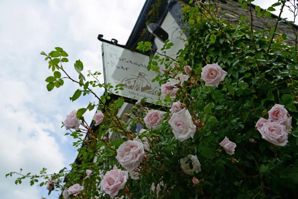 The Mulberry Inn - Oswestry
