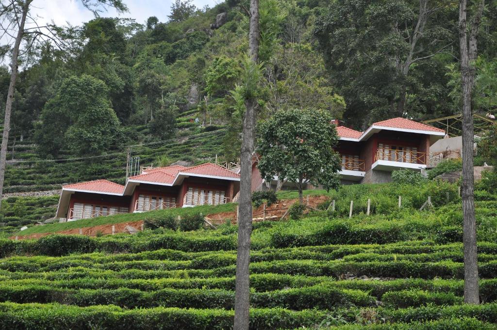 Hanging Huts Resorts - Mettupalayam