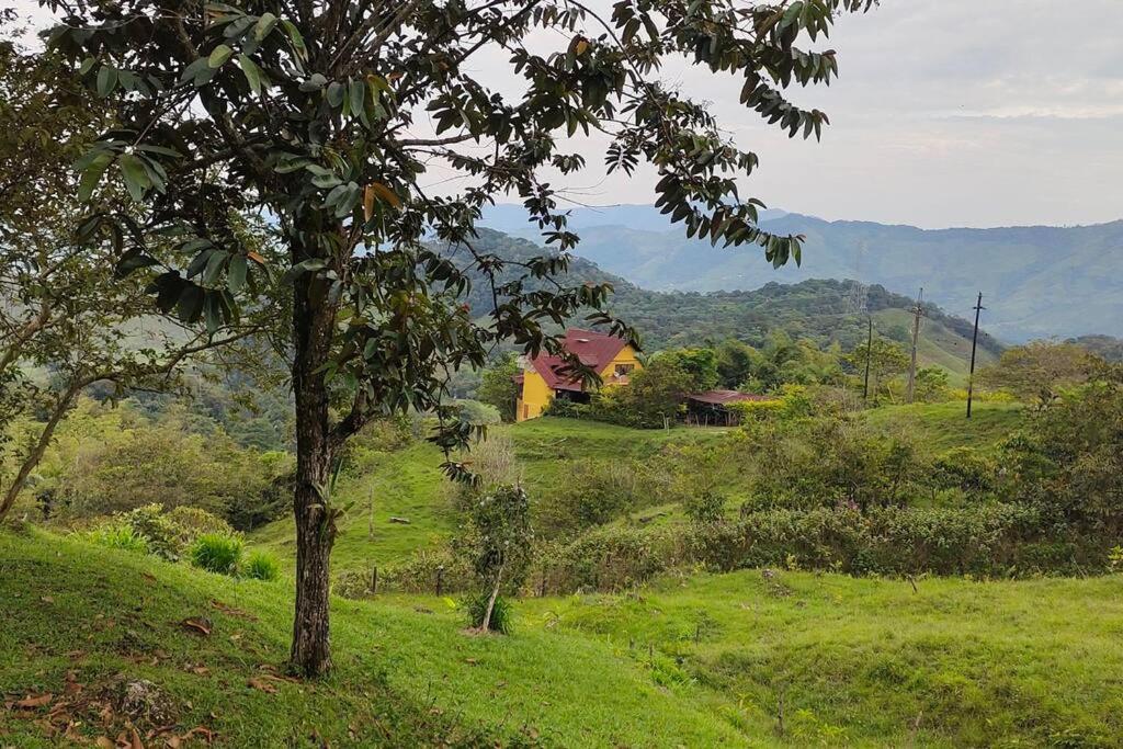 Cabaña Miradora A La Chorrera ! - San Carlos, Colombia
