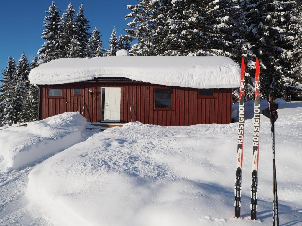 Cabin With Great View Close To Town And Ski Area - Norja