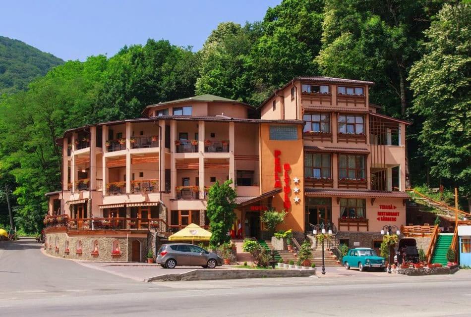 Hotel Perla Oltului - Județul Argeș