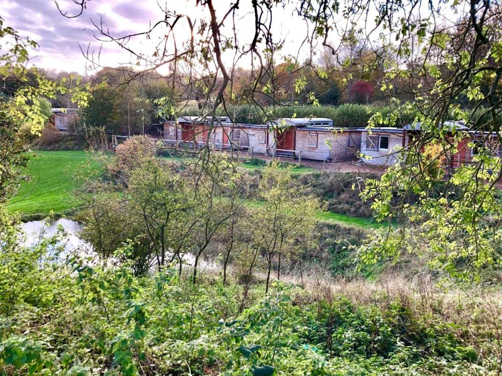 Lydeard Farm Bush Camp & Lodges - Taunton
