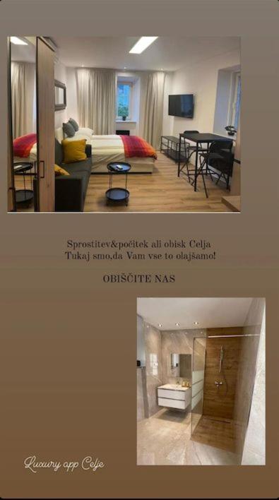 Villa Ariya Luxury Apartments Celje - Celje