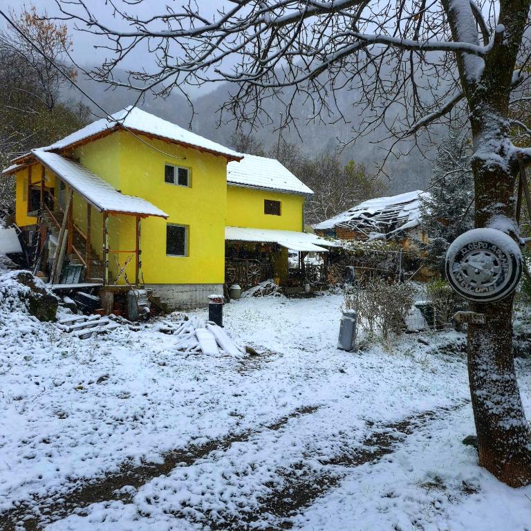 Std "Vila Bor" Stara Planina - Serbien