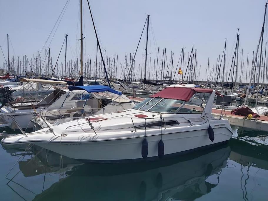 Barco Acogedor En El Puerto Del Másnou - Premià de Dalt