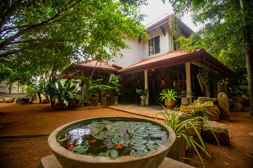 Evergreen Hotel Dambulla - Sri Lanka