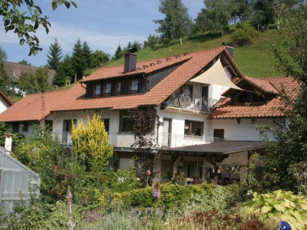 Ferienwohnungen Golla-lang - Bad Peterstal-Griesbach