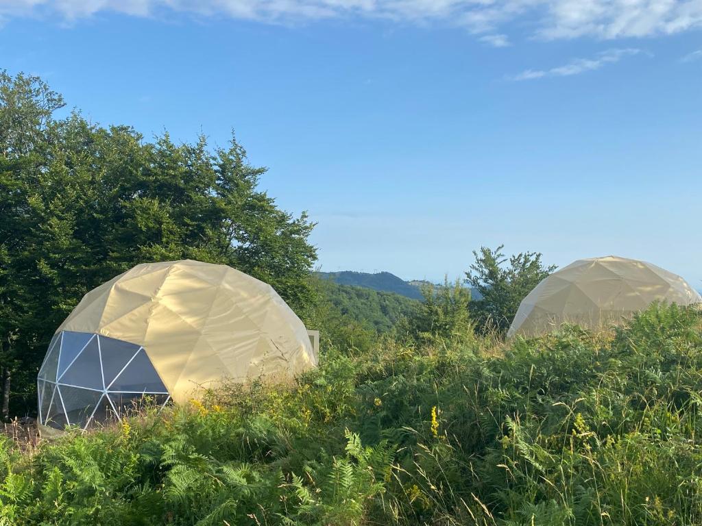 Dome Home Tents Taor - セルビア