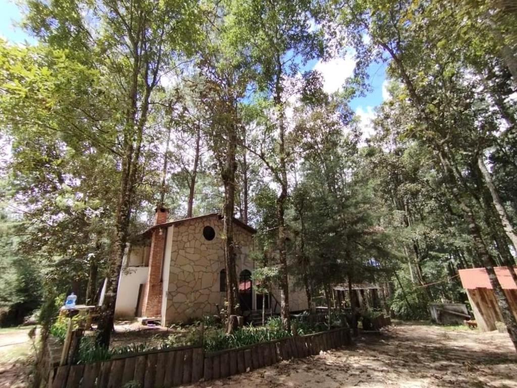 El Búho, Sauna, Cabañas, Camping - Chiapas