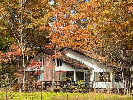 Gunma Apartments and Condos For Rent cozycozy