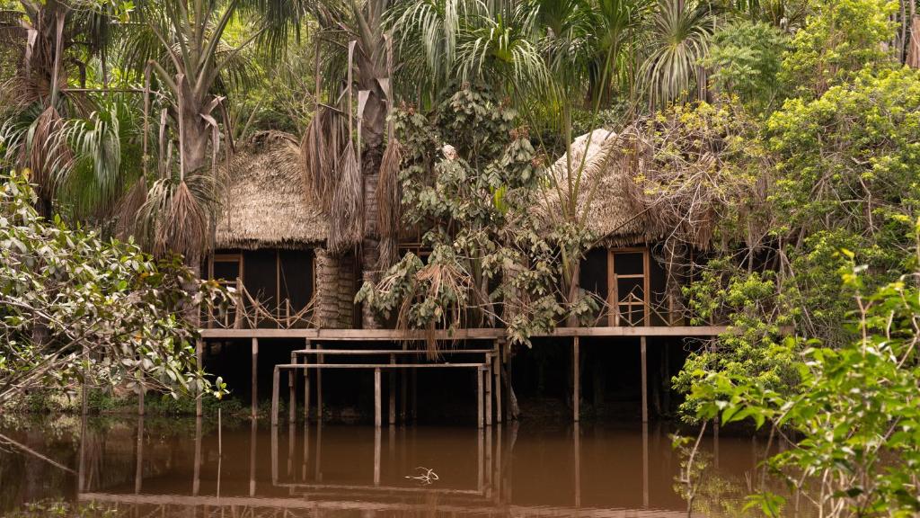 Aparthotel Ayahuaska For Solo Travelers - Amazonas, Colombia