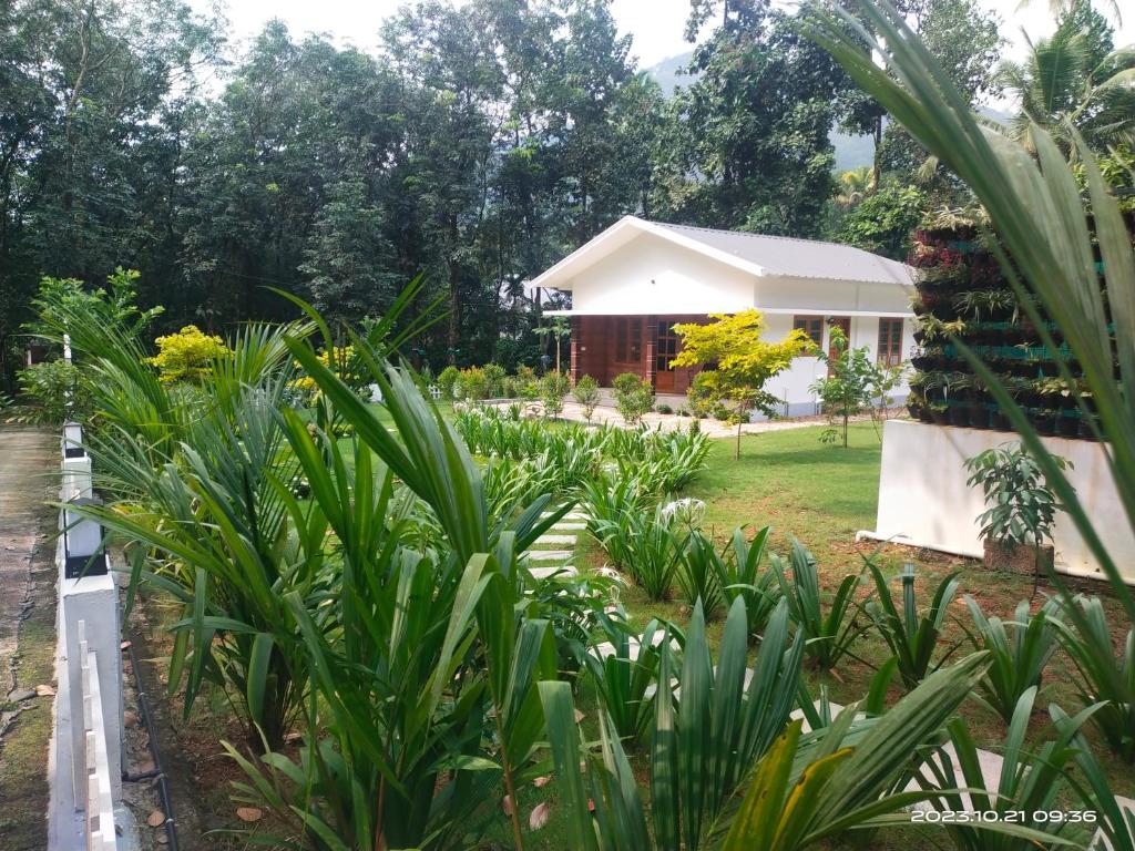 Merlys Fruit Garden, Family Cottage @ Thattekkad - Kothamangalam