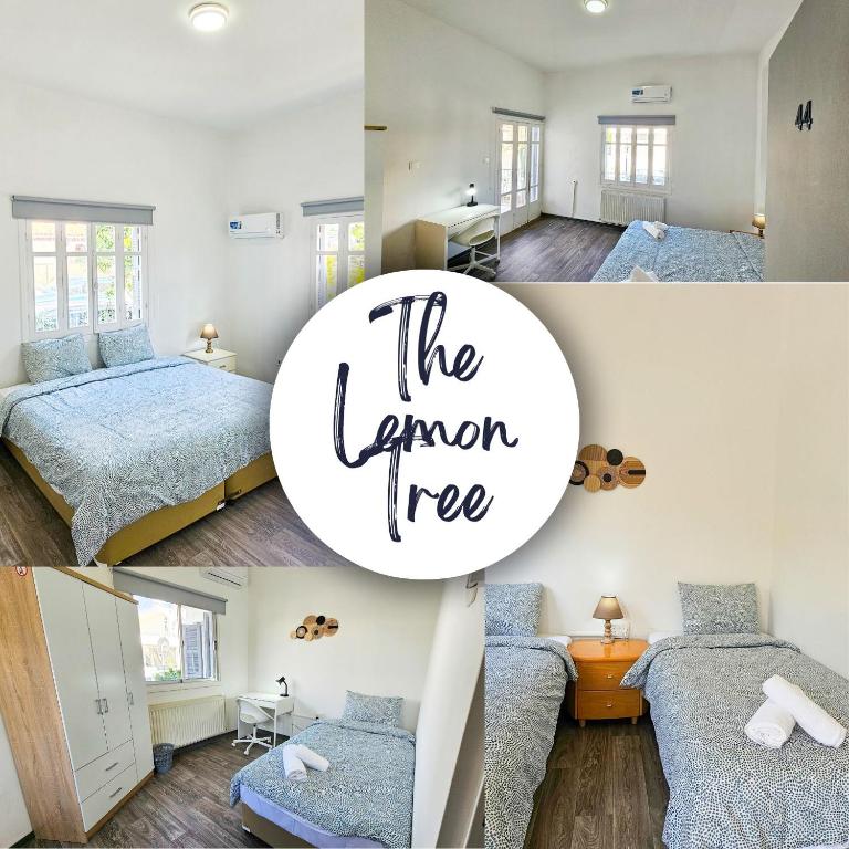 The Lemon Tree Hostel - Larnaca