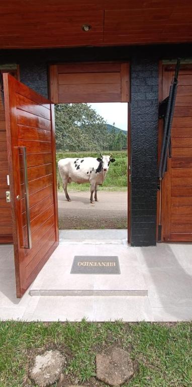 Casa Ranch Oxapampa Pet Friendly - Perú