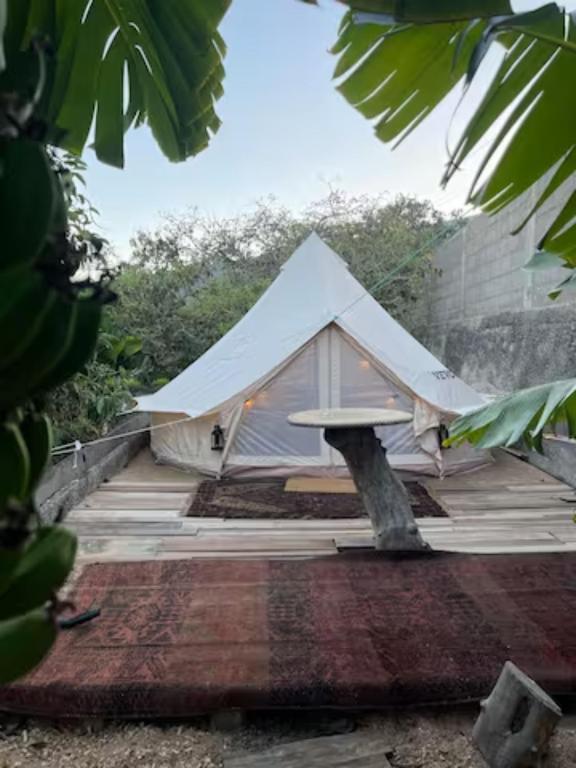 Yurt In Avocado Garden - 테네리페 섬