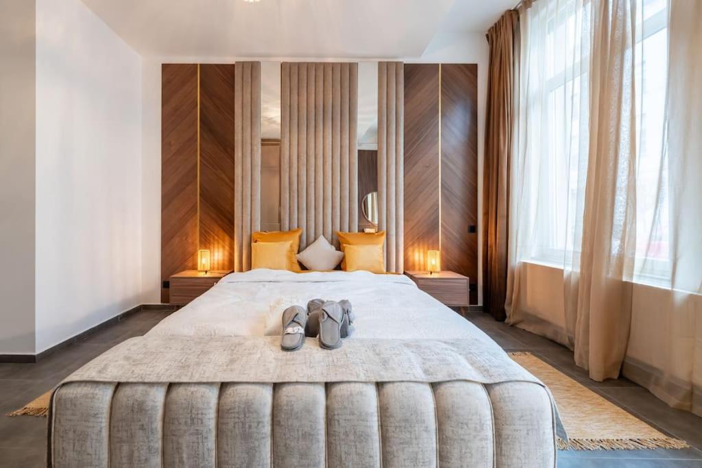 Luxueux Appartement 5 Chambre - Grimbergen