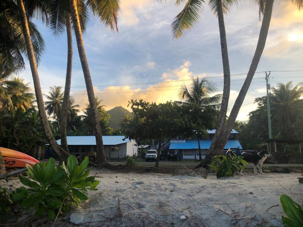 Island Hopper - Micronésie