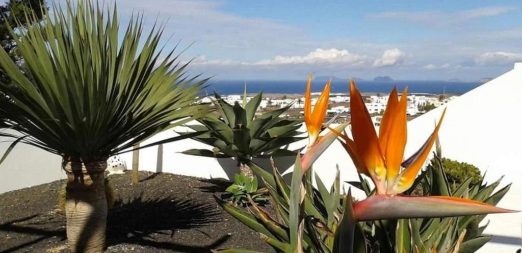 Beautiful Holiday Home Casa Lancelot With Sea View, Mountain View, Wi-fi, Garden, Terrace & Pool; Parking Available - Lanzarote