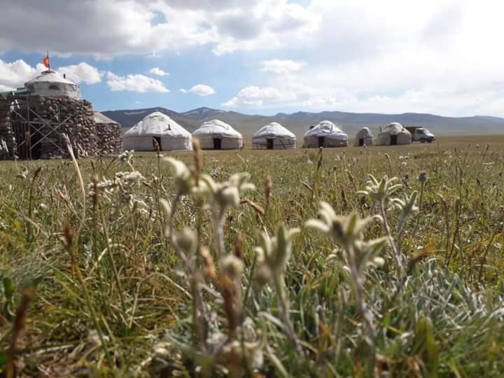 Yurt Camp Aitbek - Kirghizistan