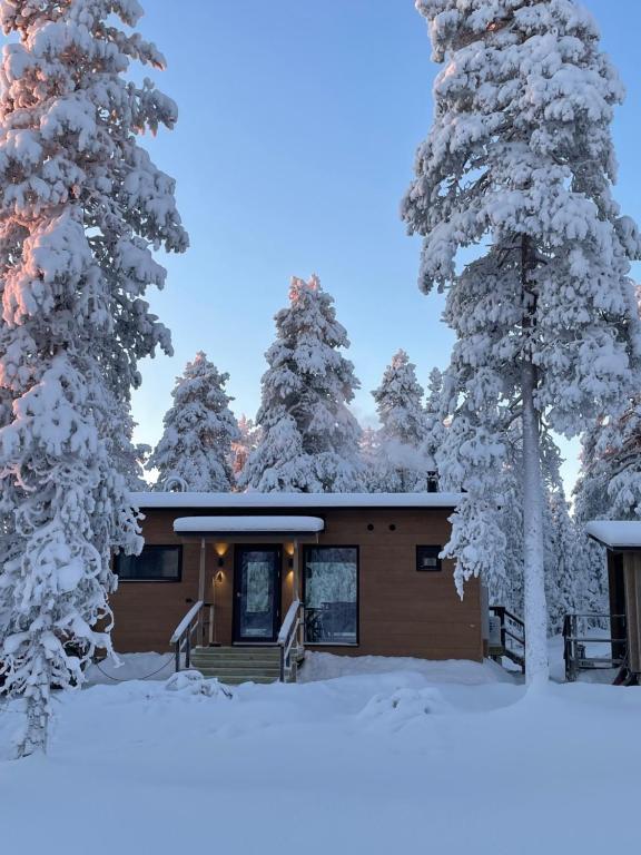 Wald Villas - Villa Huhta, Aavasaksa, Lapland - Ylitornio