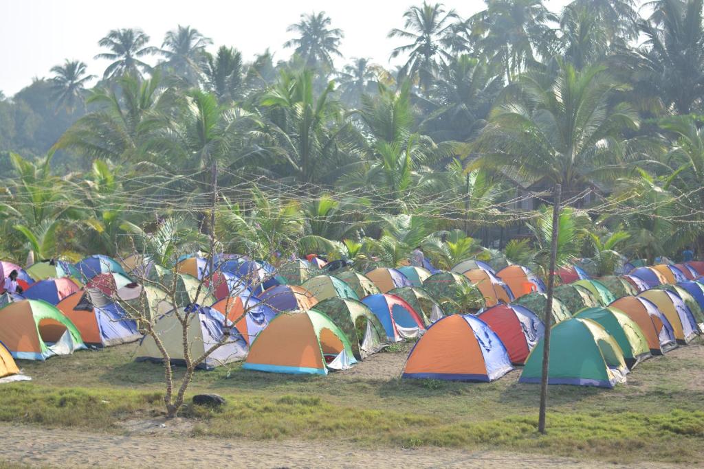 Alibag Beach Camping Ashu - Maharashtra