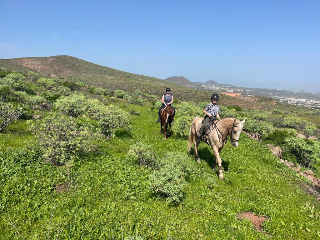Country Home With Horses In Telde - Gran Canaria Airport (LPA)