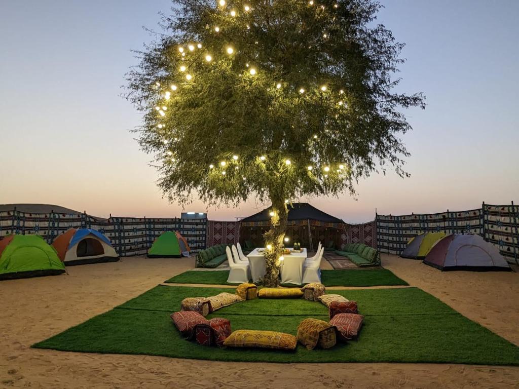 Enjoy The Leisure Of Overnight Campsite In Dubai Desert Safari With Complementary Pick Up - Dubaï
