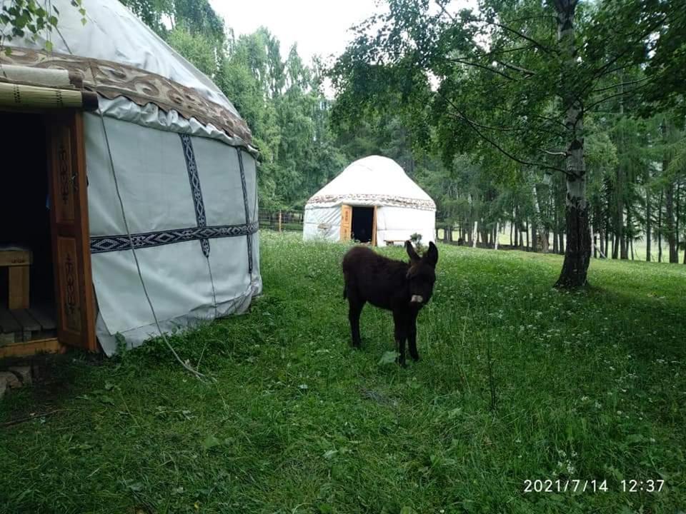 Yurt Camp Besh-karagai - キルギス