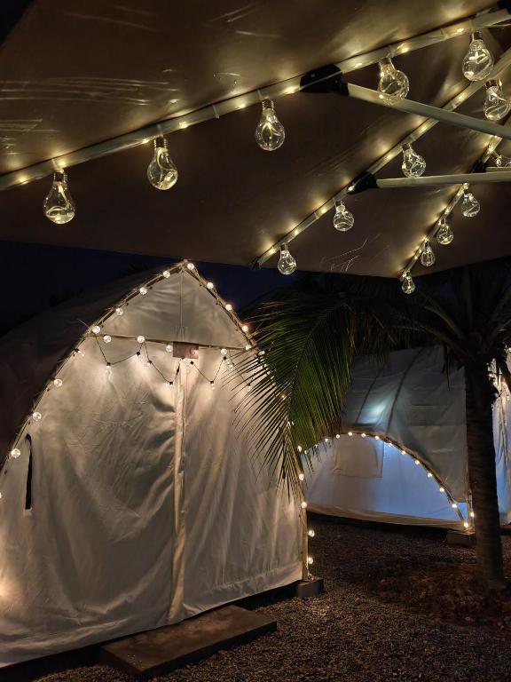 The Coco Journey - Eco Tent - Malaysia