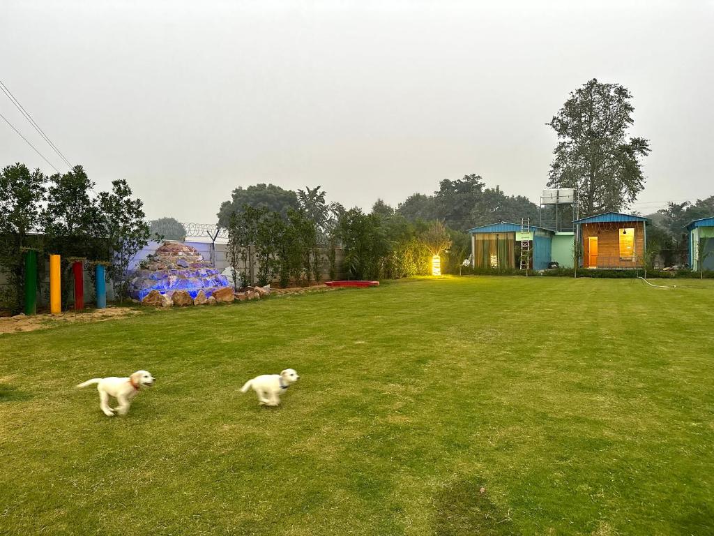 Farm With 5 Huts, Heated Pool And Bonfire - Manesar