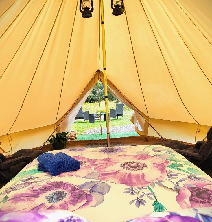 Zeehan Bush Camp - Luxury Family Glamping Tent - Tasmania