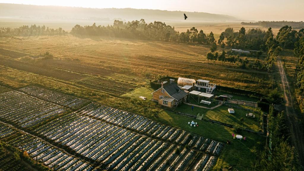 Olrok Farm House - ケニア