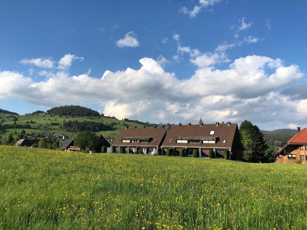 Ferienhaus Mit Terrasse Auf Zwei Etagen Im Grünen Mit Offenem Kamin - B48743 - Bernau im Schwarzwald