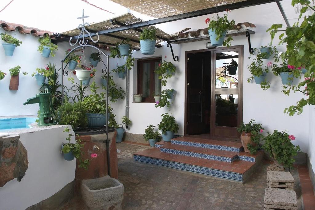 Casa Rural - La Casa Del Abuelo Martín - Villaviciosa de Córdoba