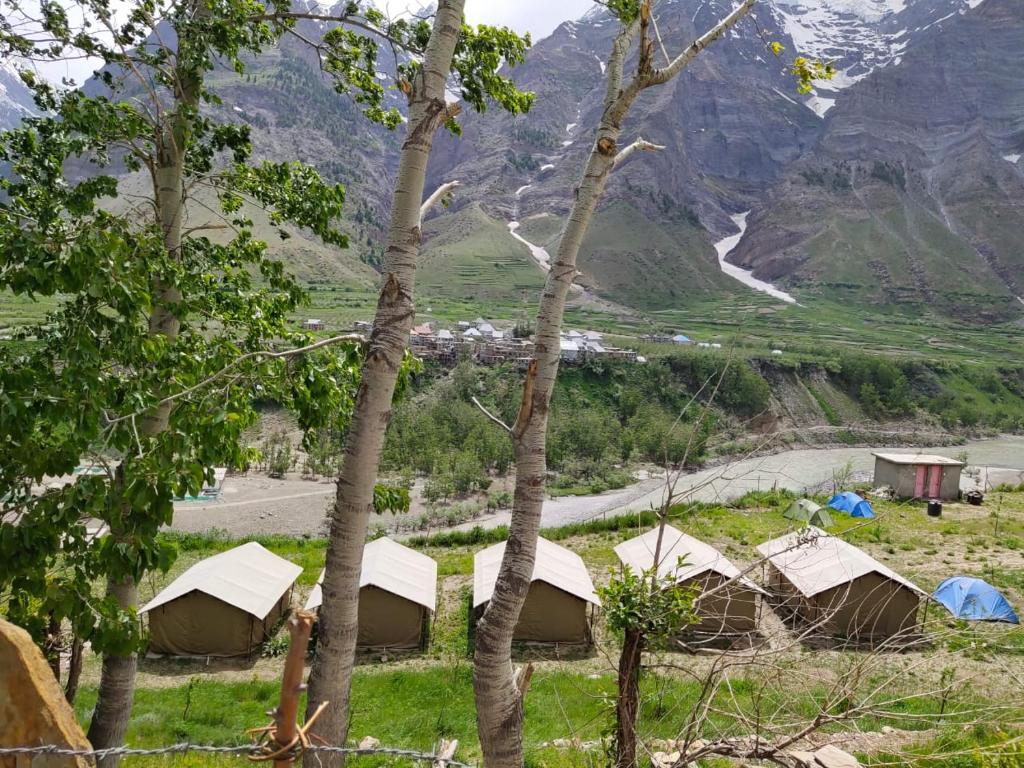 Chandra Bhaga Camps - Himachal Pradesh