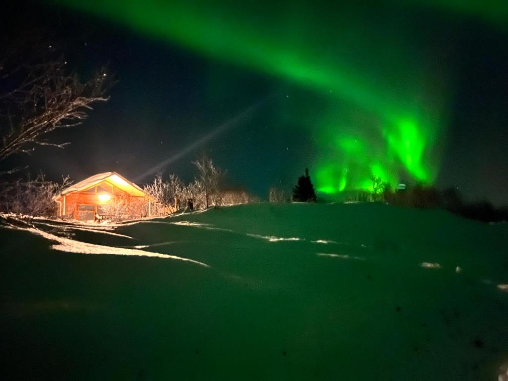 Armonia Iceland Cabin - Selfoss