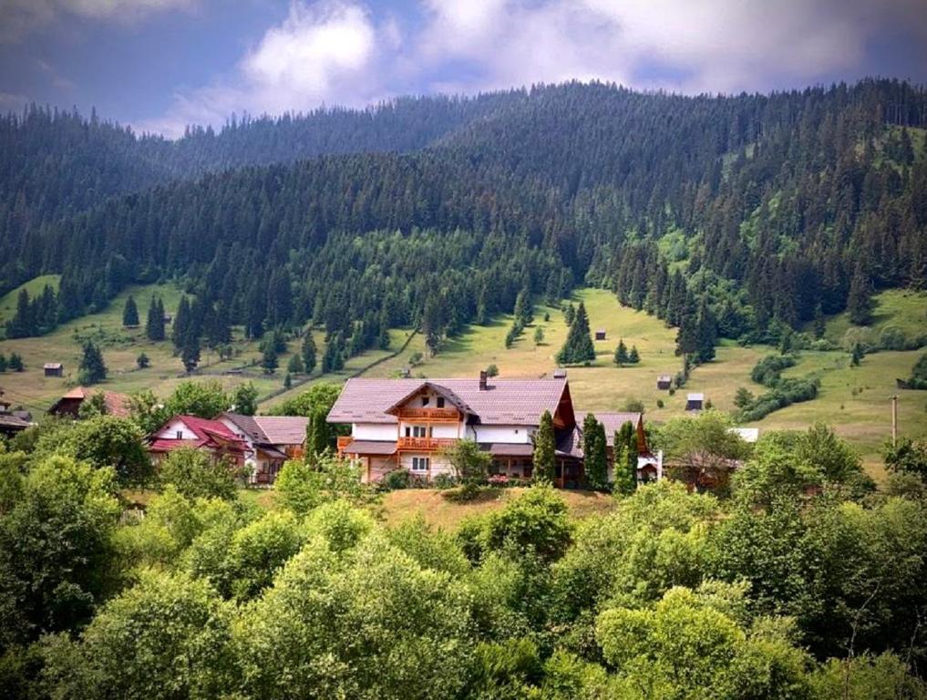 Pensiunea Casa-stefanel - Câmpulung Moldovenesc
