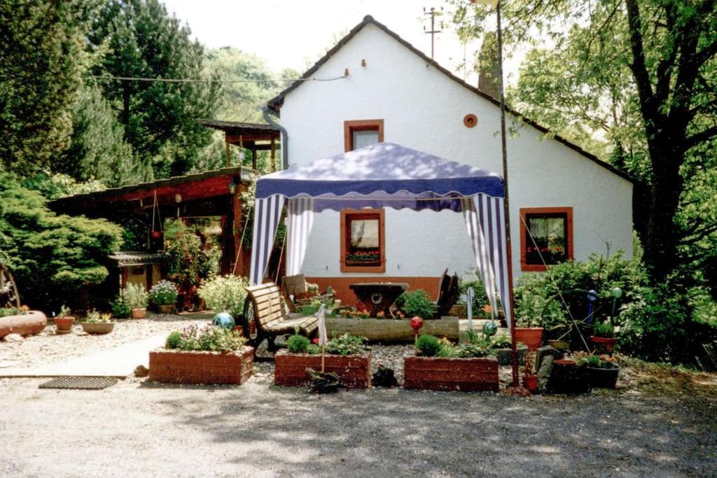 Haus Im Hanfbachtal - Hennef