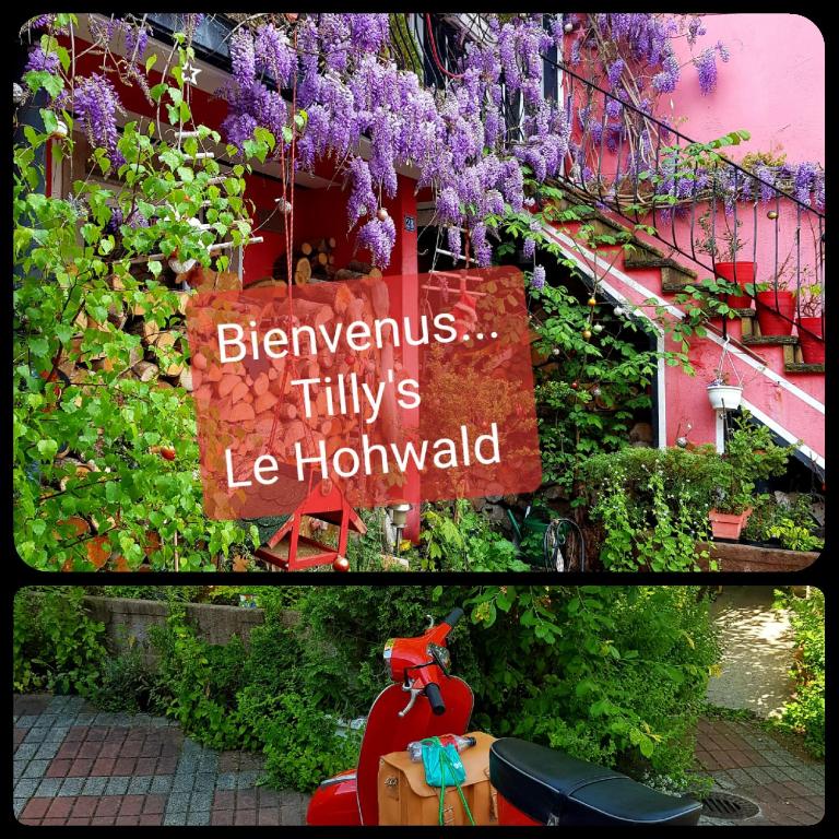 Tilly's B&b And Apartment House - Le Hohwald