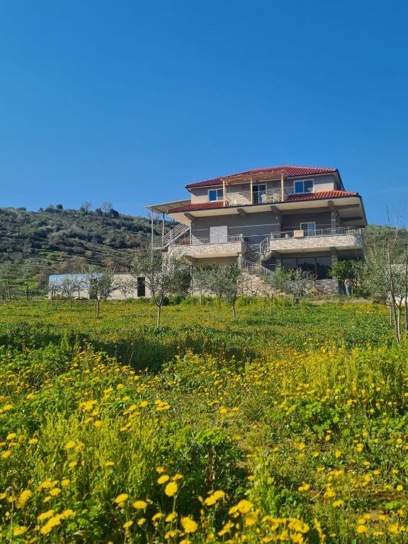 Guest House Ilir - Distretto di Berat