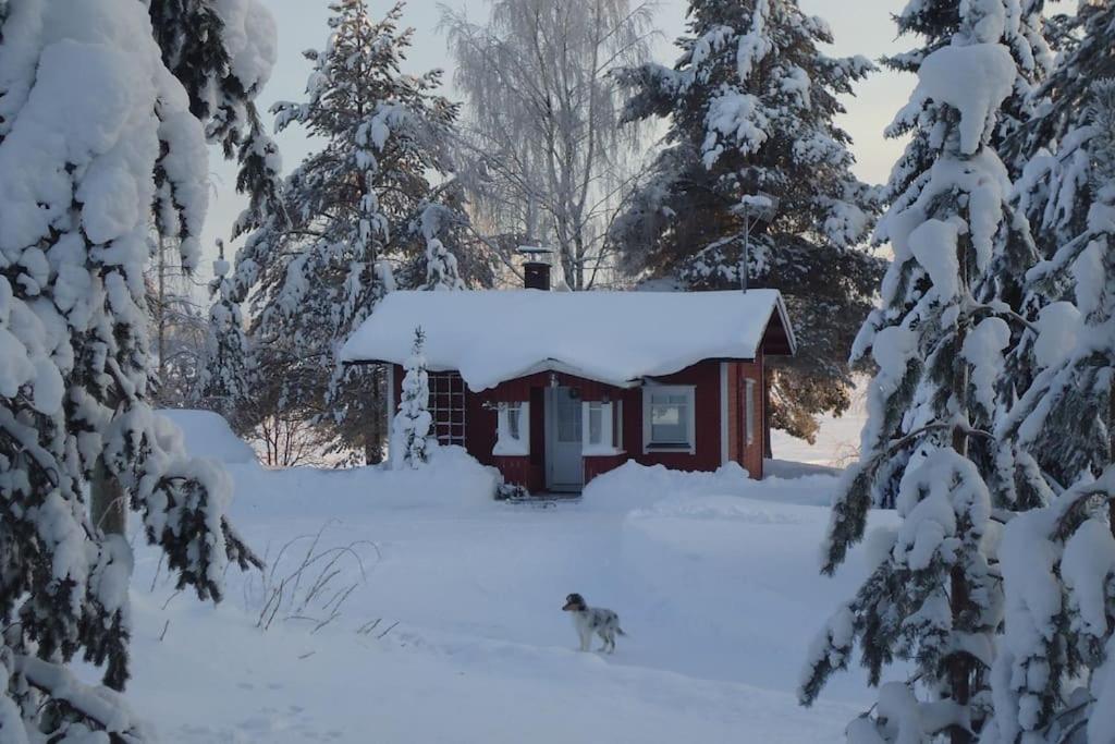 Lysti Cottage By The Lake And Magical Countryside - Rovaniemi
