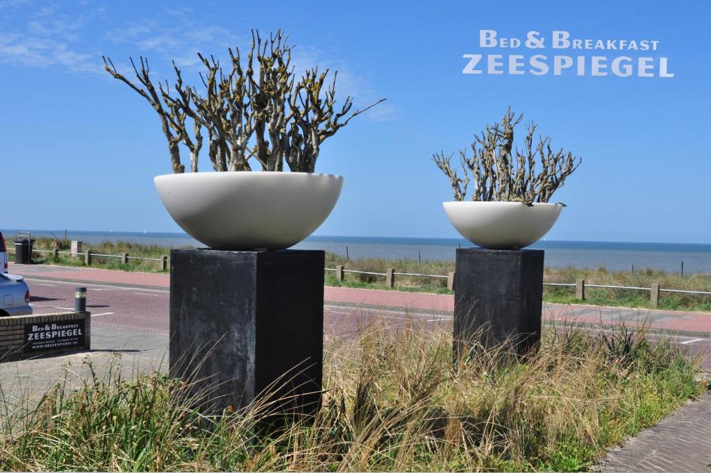 B&b Zeespiegel - Zandvoort