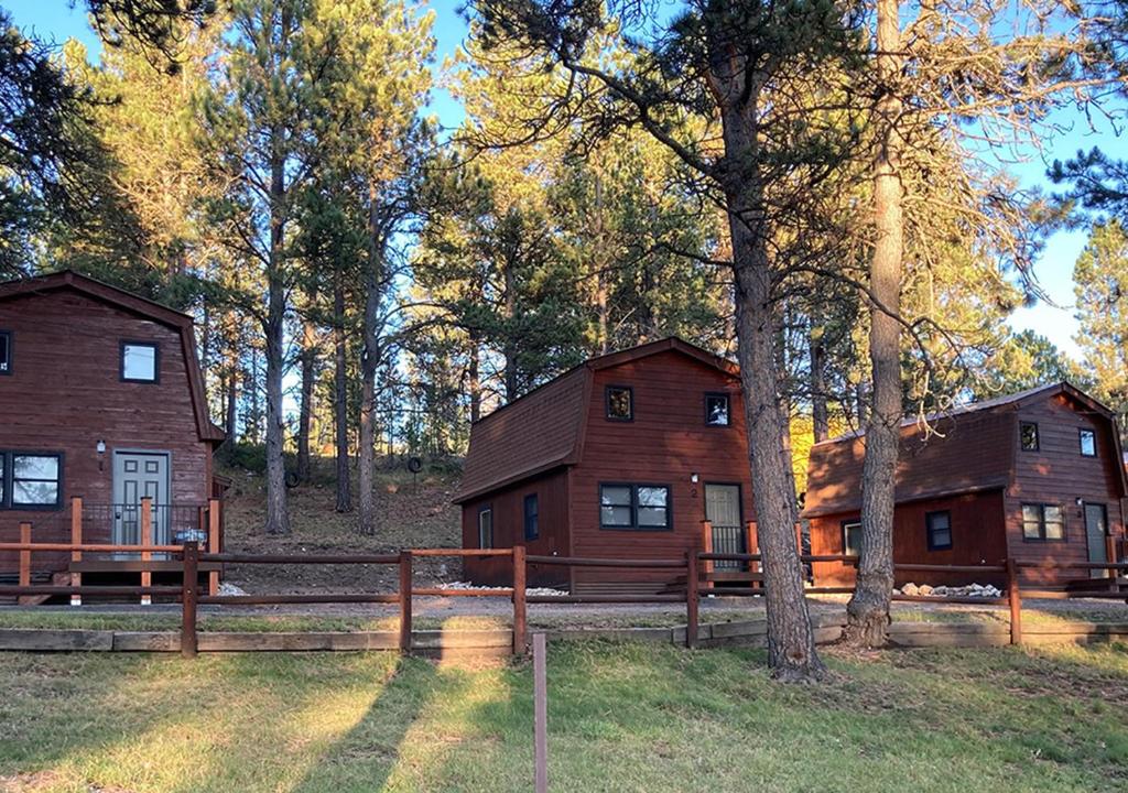 Trailshead Lodge Cabin 1 - Lead, SD