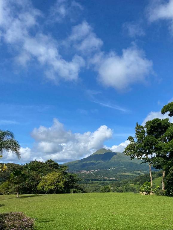 Bungalow à Flanc De Montagne - Martinique