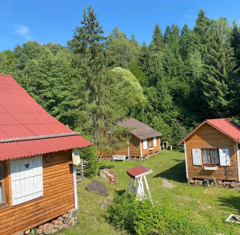 Homoród Lodge - Transilvânia